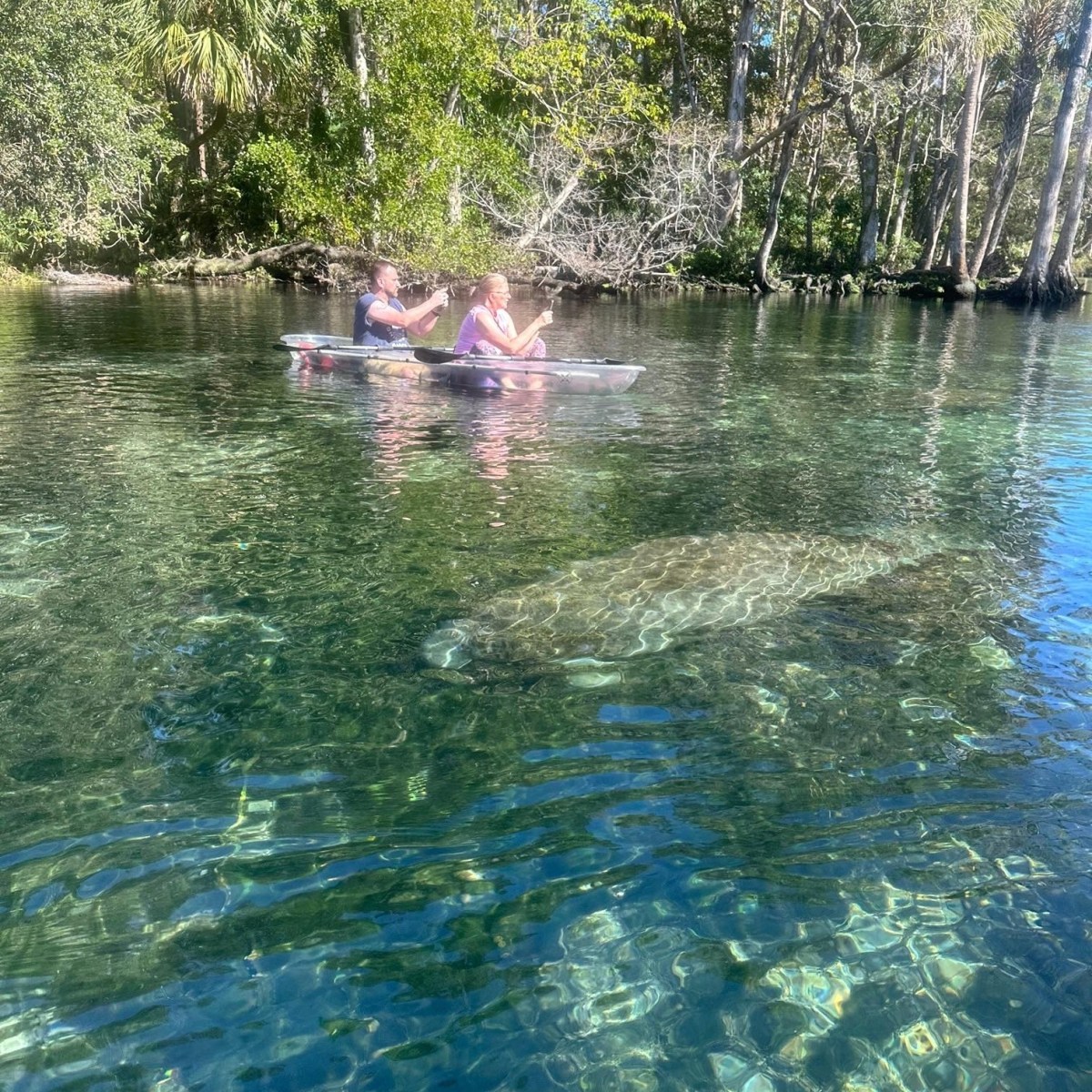 Two people in a kayak on clear water with a manatee visible underwater.