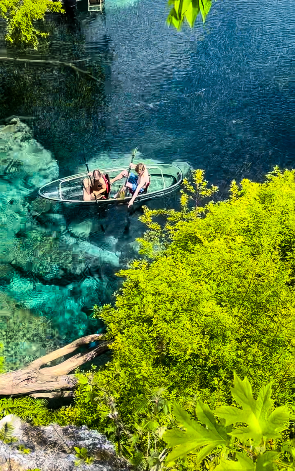 Two people kayaking in a transparent canoe on a clear blue lake surrounded by vibrant green foliage.