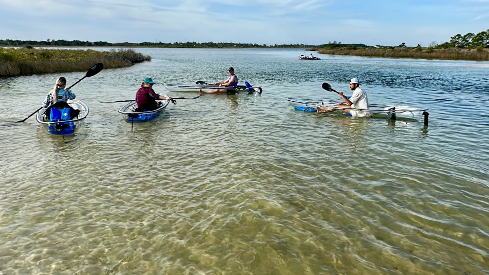 Four people kayaking in clear waters with grassy shores under a blue sky.