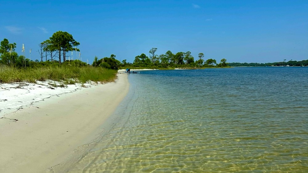 Sandy beach with clear water and distant trees under a blue sky.