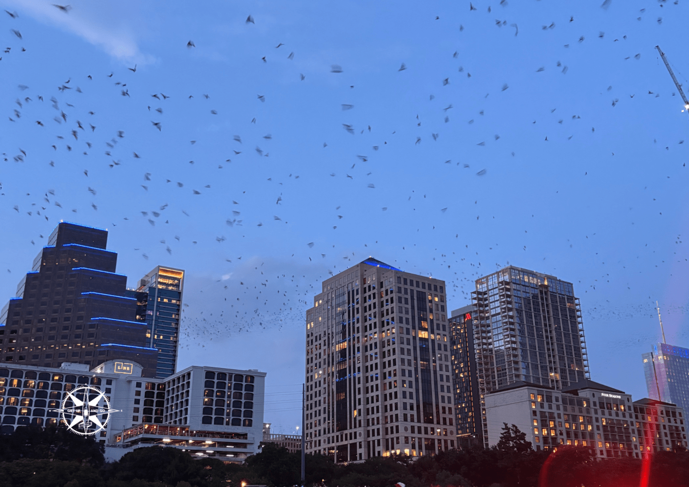 Skyline at dusk with a flock of bats flying over city buildings illuminated with blue lights.