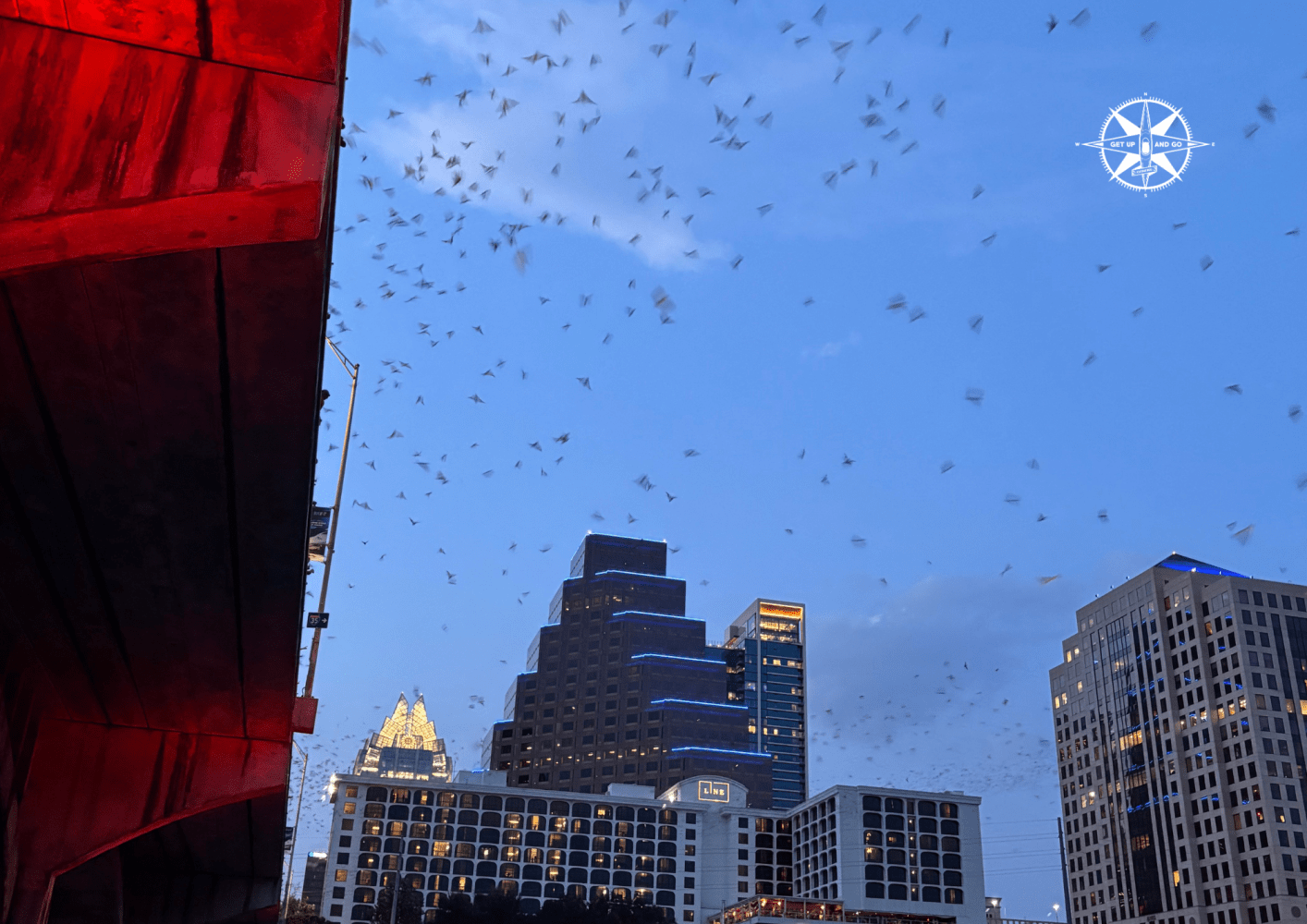 Bats flying in the evening sky above a city skyline with high-rise buildings.