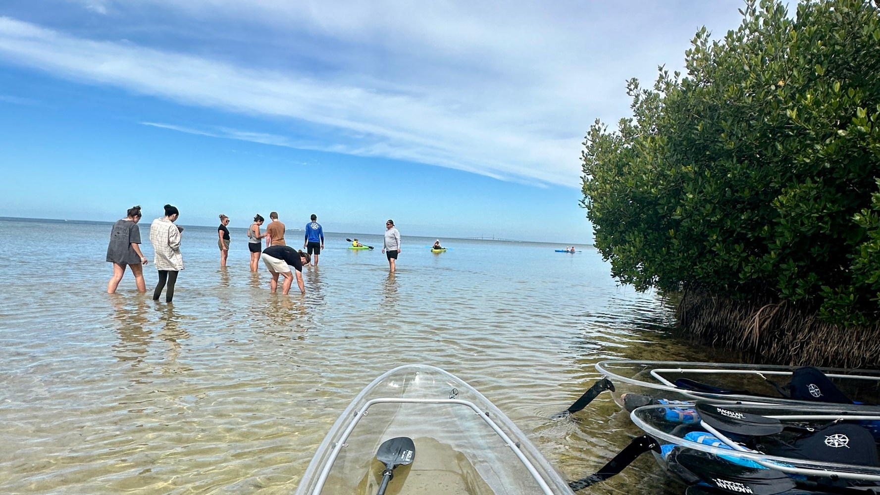 People wading in shallow water near kayaks and bushes under a blue sky.