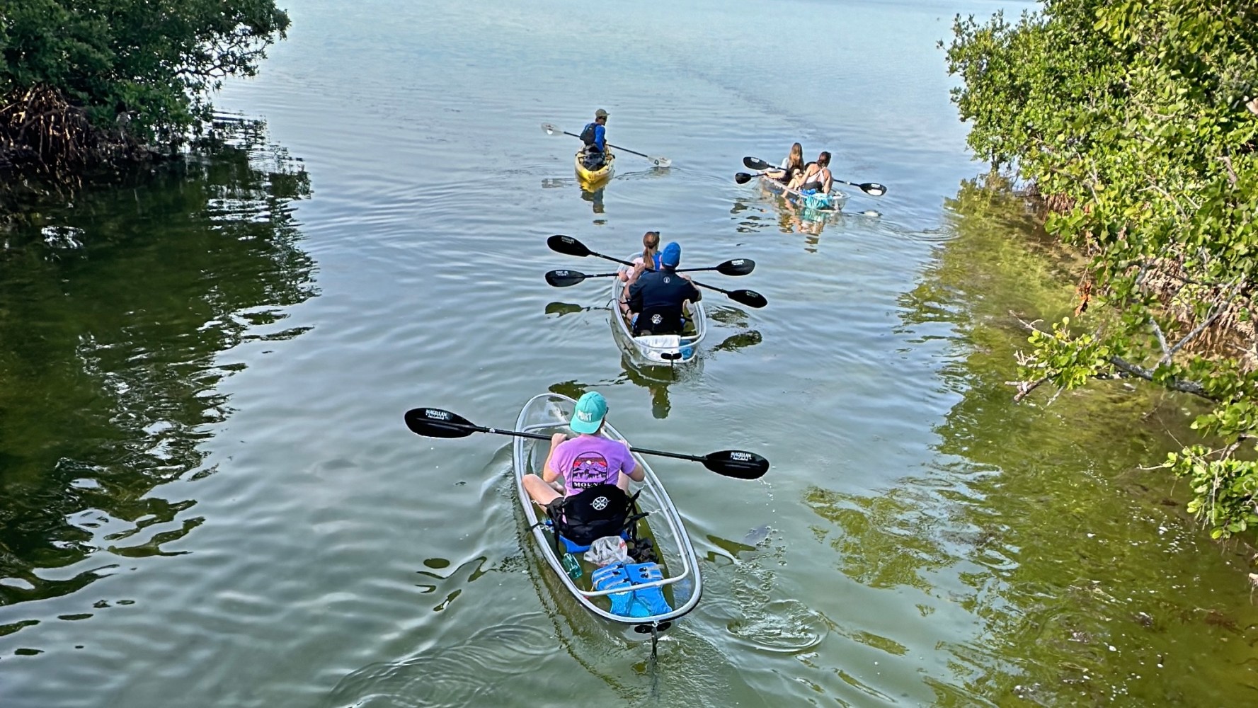 Five kayakers paddling through calm water near green foliage.