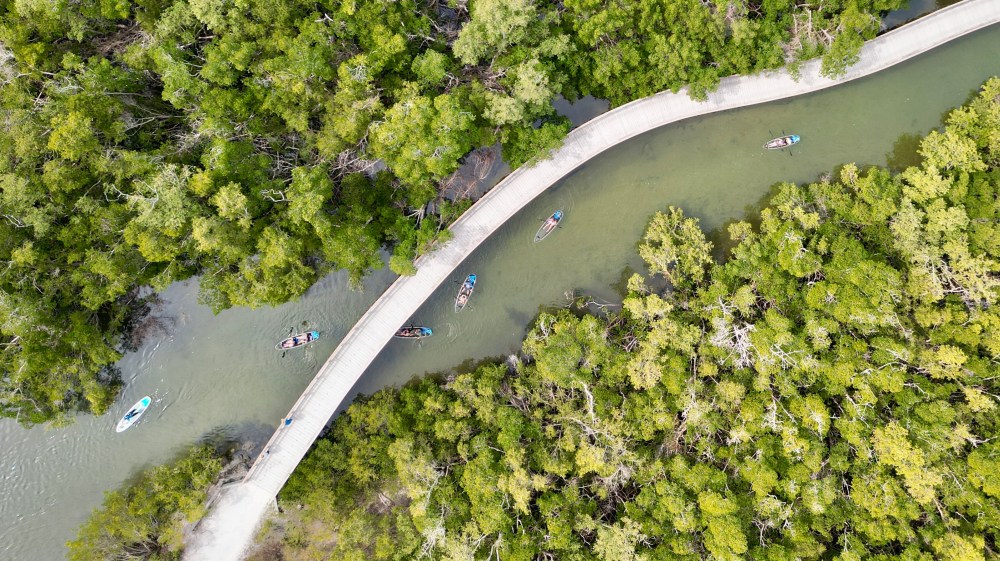 Aerial view of boats in a winding river surrounded by dense green forest.