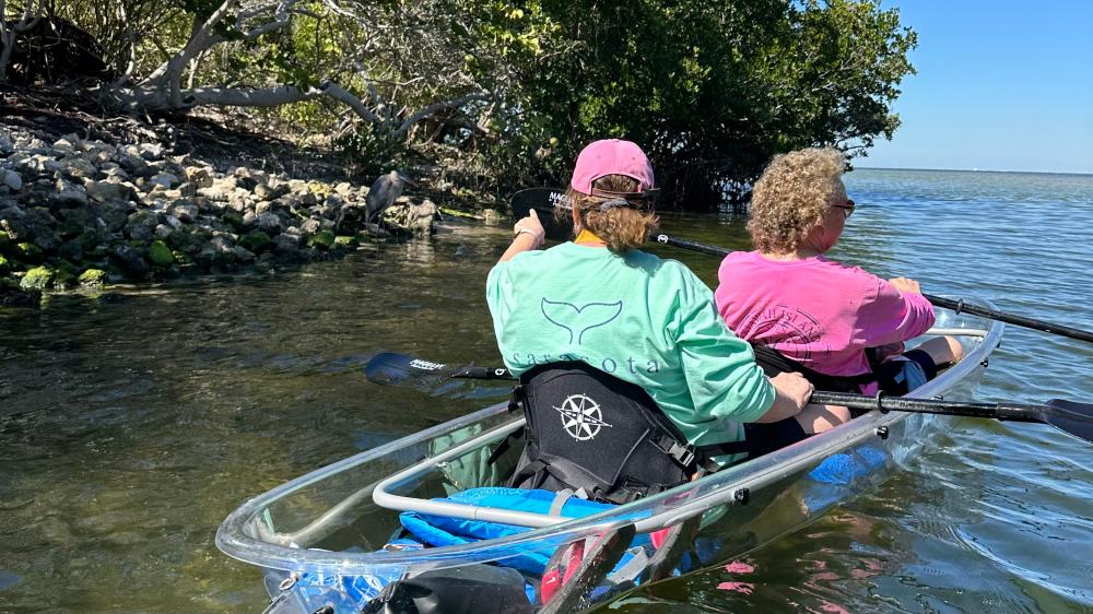 Two people kayaking in clear water near a rocky shore with greenery.