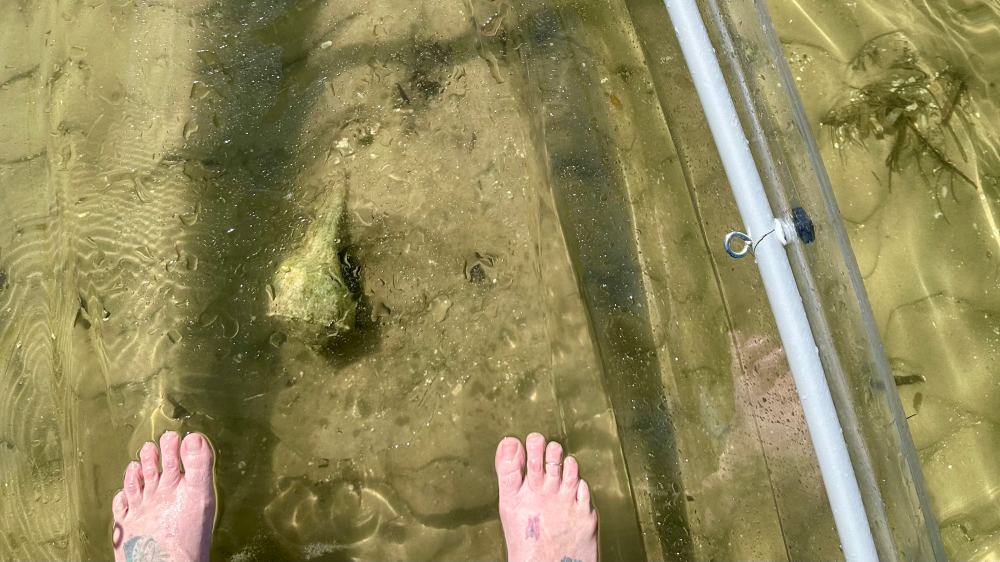 Top view of feet on a transparent kayak above shallow, clear water.