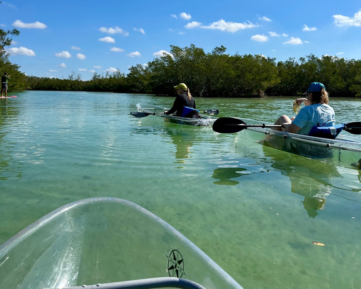 People kayaking on clear water with trees and blue sky in the background.