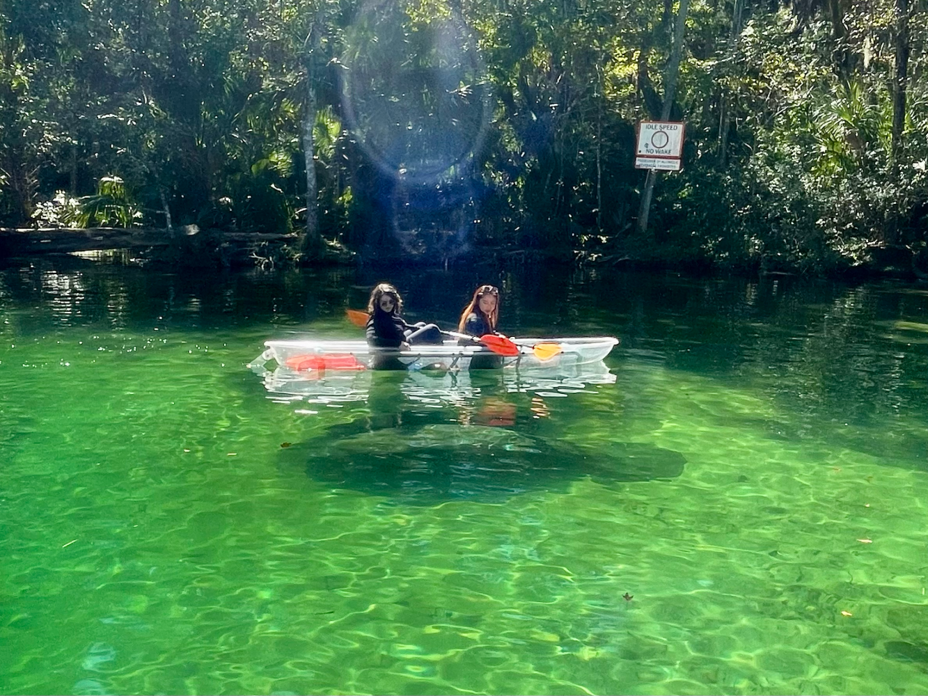 Two people in a clear kayak on green water surrounded by lush, sunlit forest.
