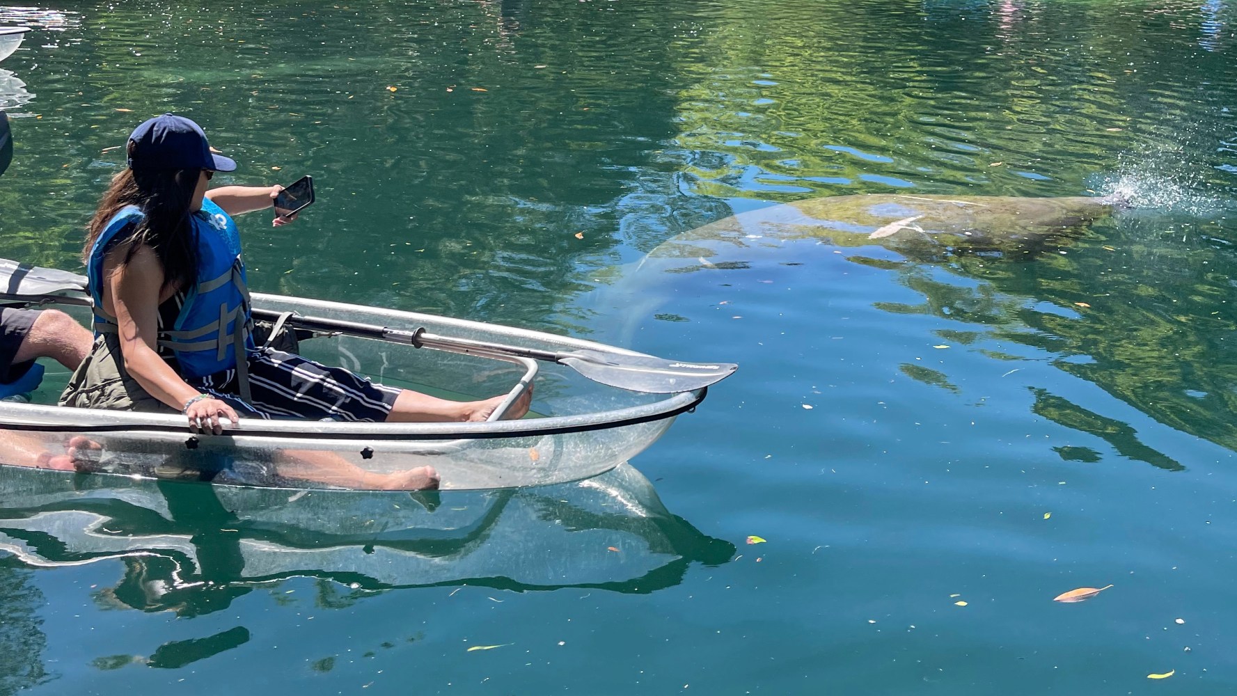 Person kayaking in a clear kayak with a manatee visible underwater nearby.