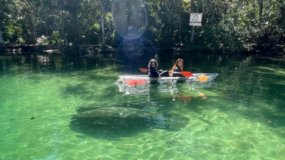Two people in a clear kayak on a greenish river above a manatee, with trees and a sign in the background.