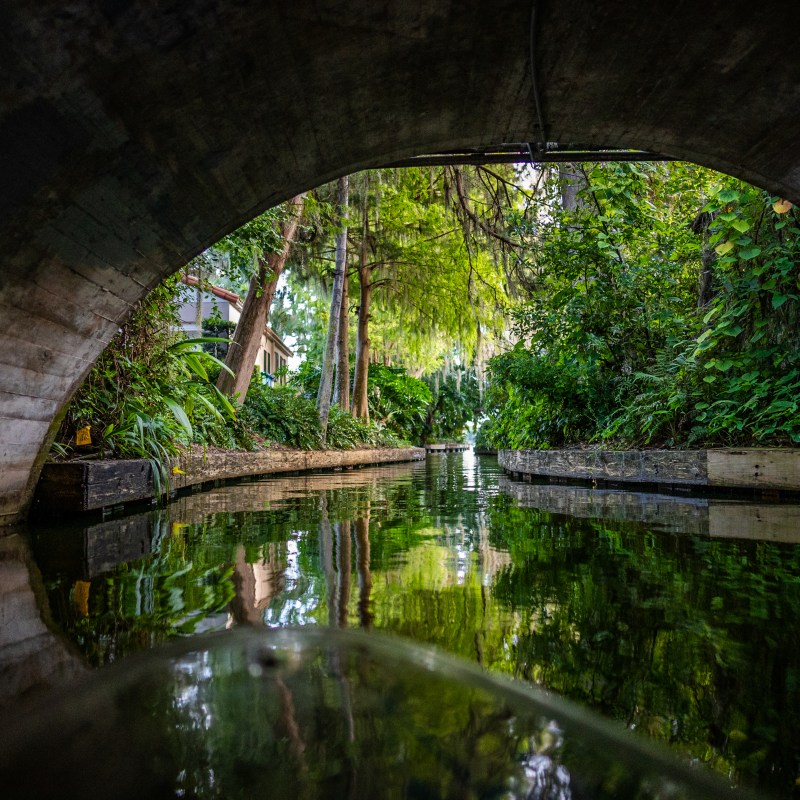 View from under a bridge looking at a lush, green canal lined with trees.
