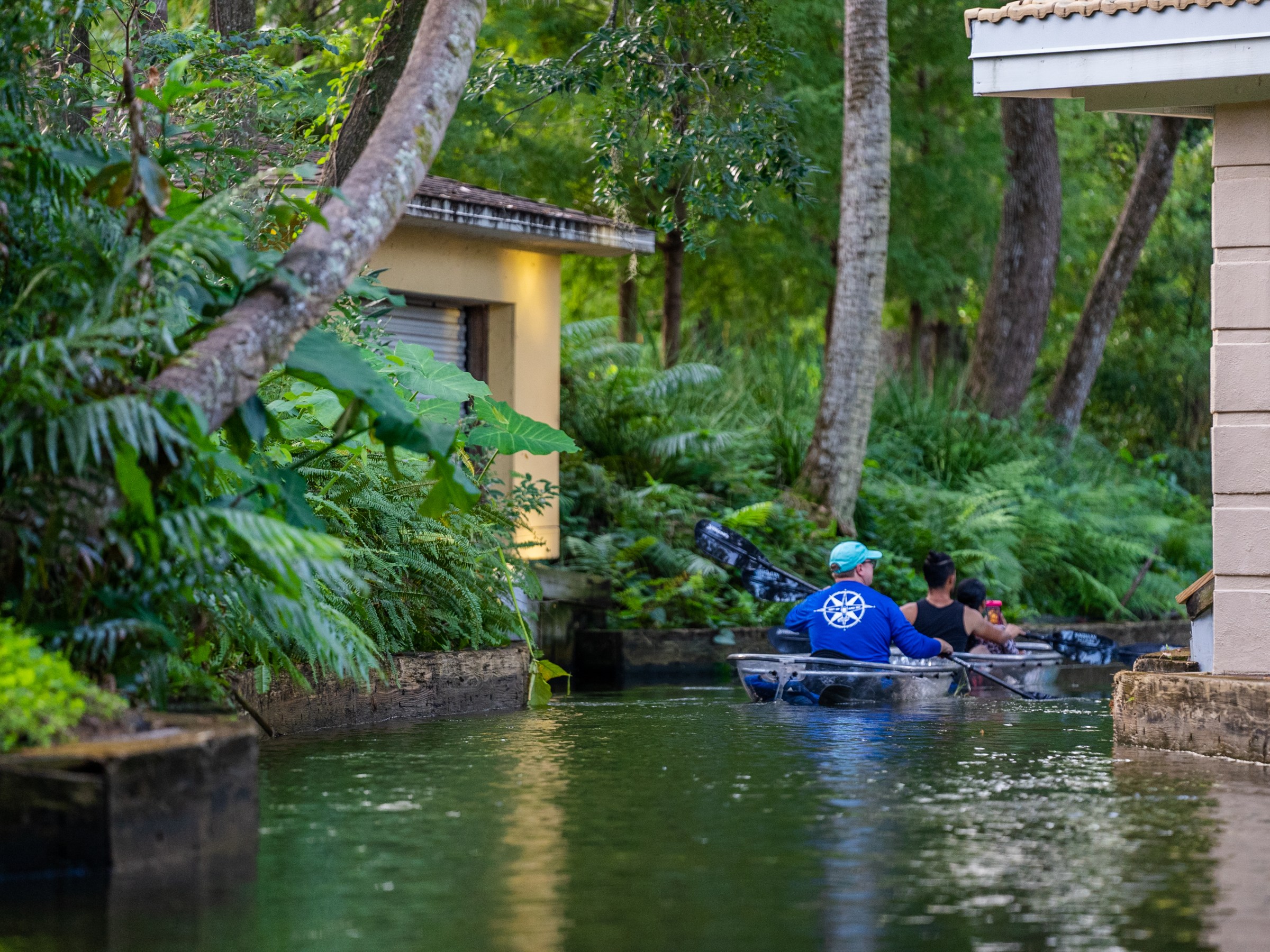 People kayaking on a narrow waterway surrounded by lush green foliage and a building.