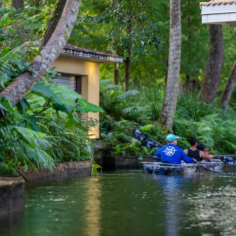 People kayaking on a narrow waterway surrounded by lush green foliage and a building.