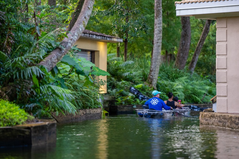 People kayaking on a narrow waterway surrounded by lush green foliage and a building.