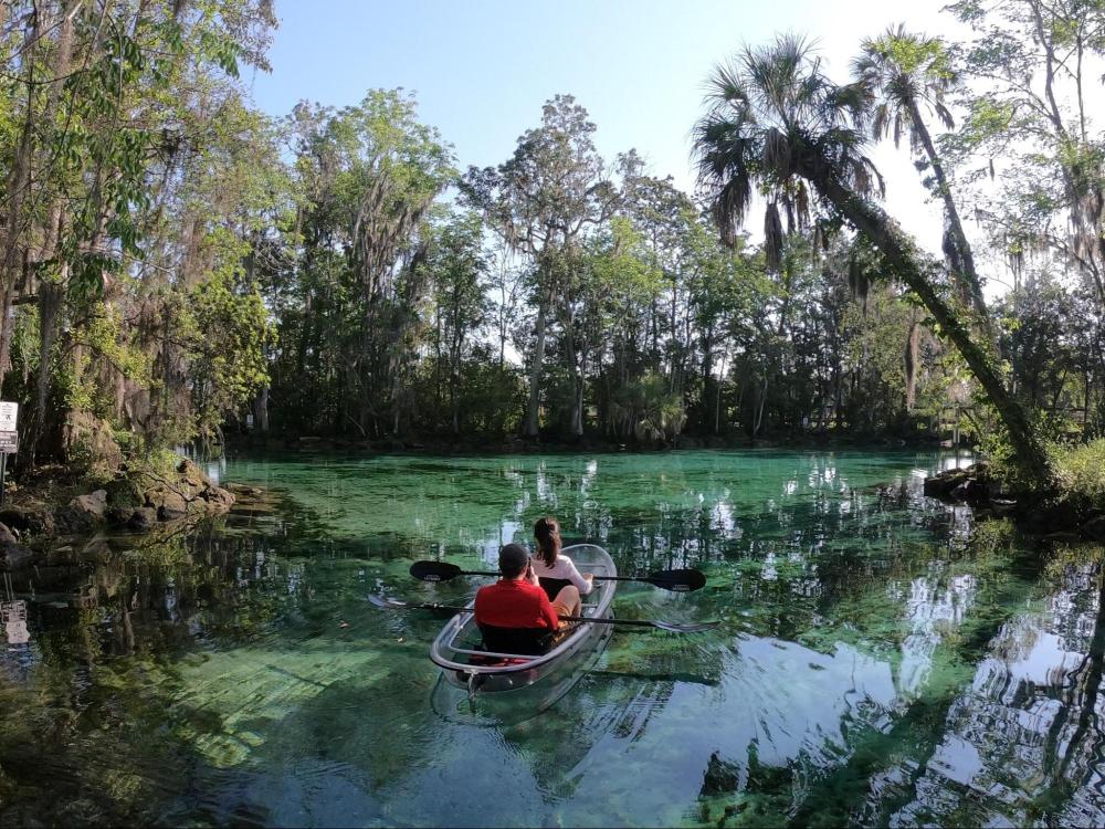Two people in a transparent kayak on a clear, green river surrounded by trees.