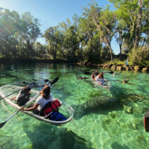 Transparent kayaks on a crystal-clear river with lush greenery and clear sky.