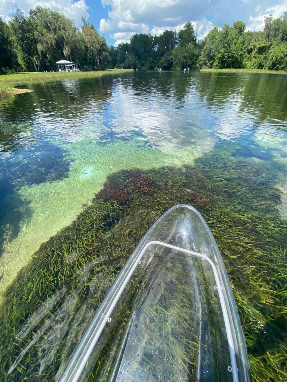 Clear kayak over a spring with aquatic plants, surrounded by trees and a bright sky.
