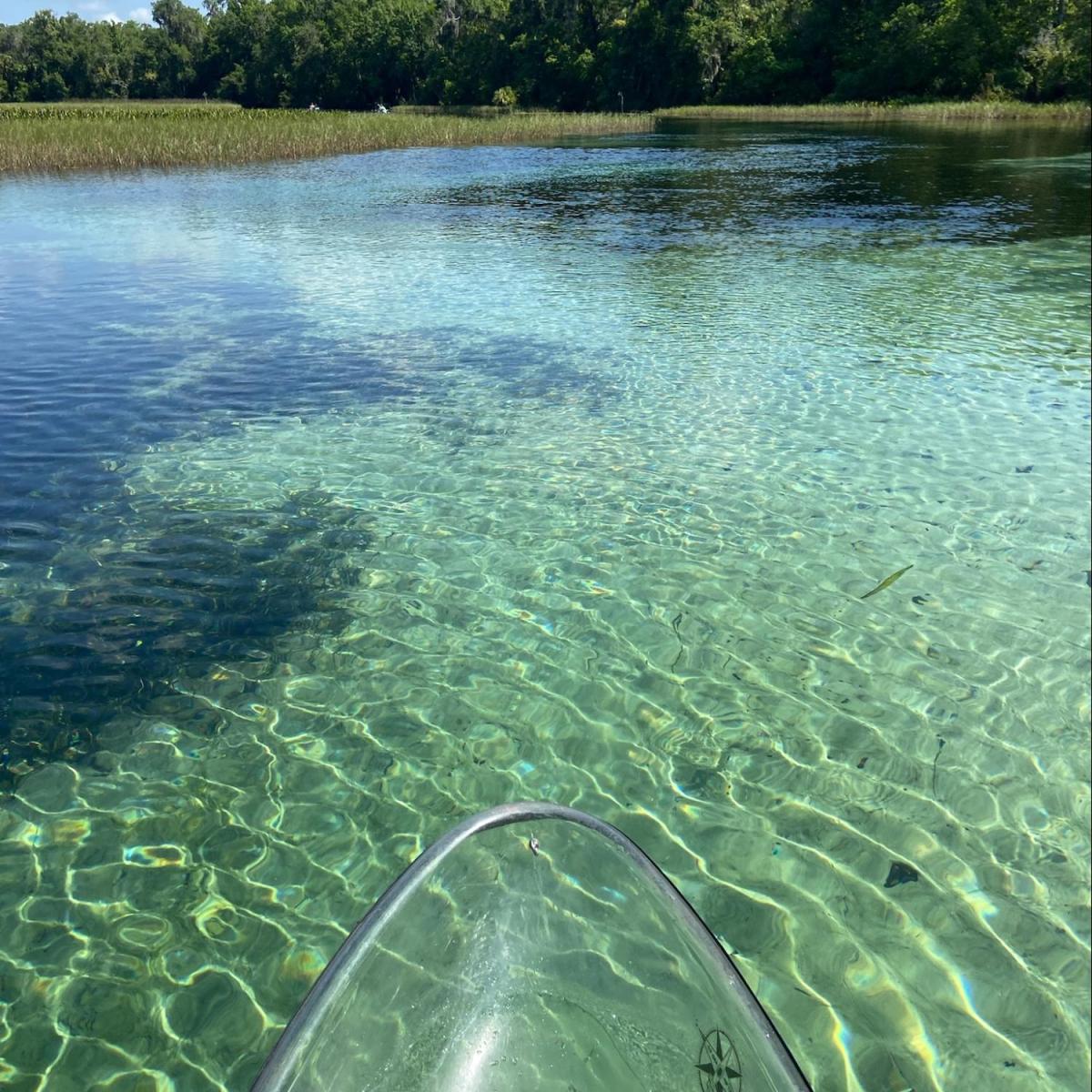 Clear kayak on transparent water, lush green trees and plants along the shore under a blue sky.