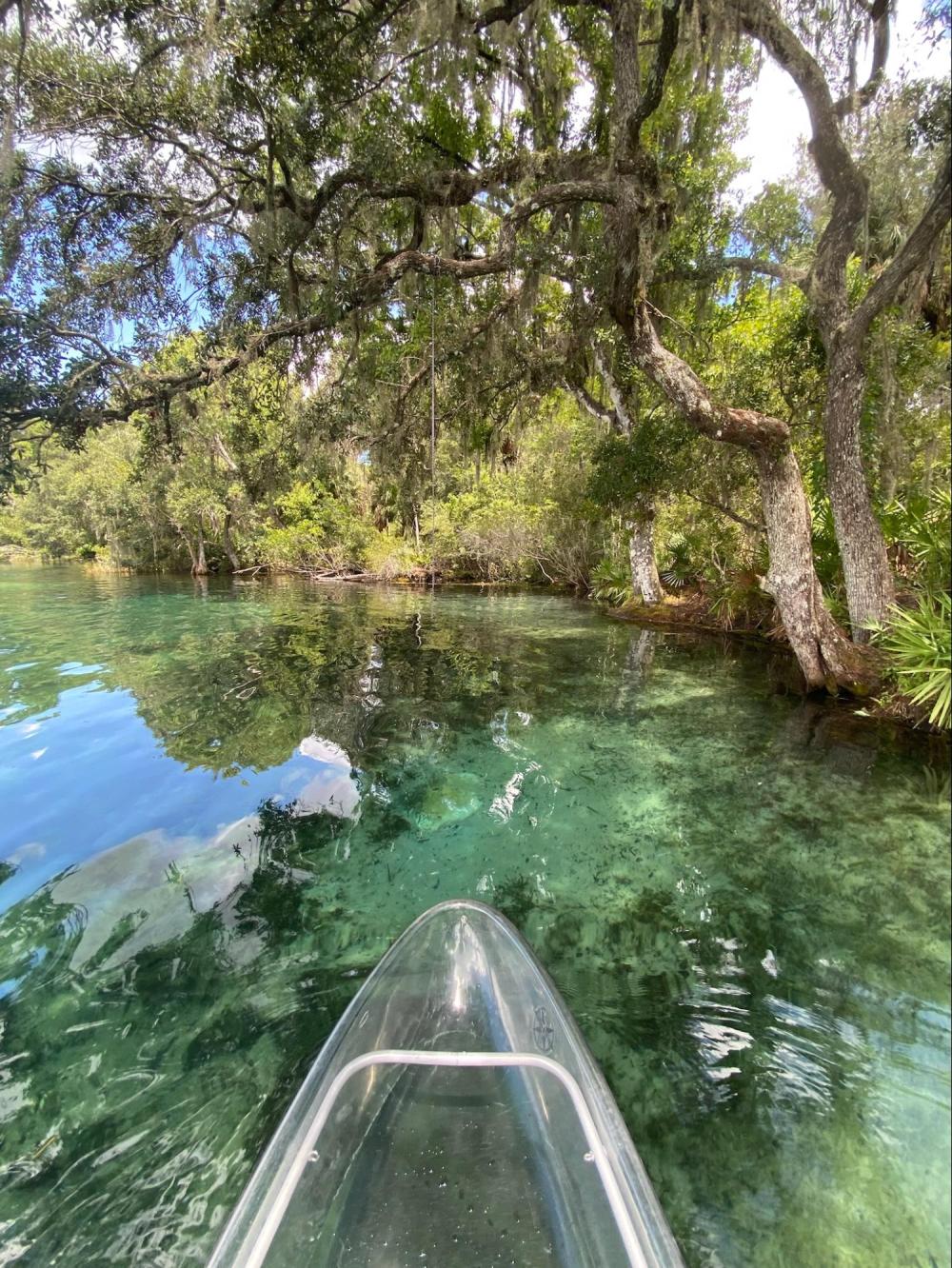 Clear kayak on transparent water near lush green trees and forest canopy.