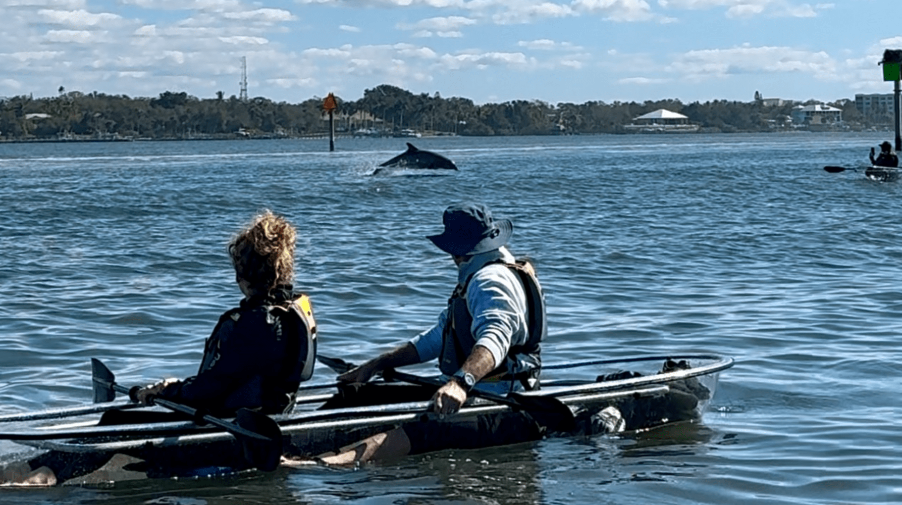 Two kayakers watching a dolphin in a body of water with a distant shore in background.