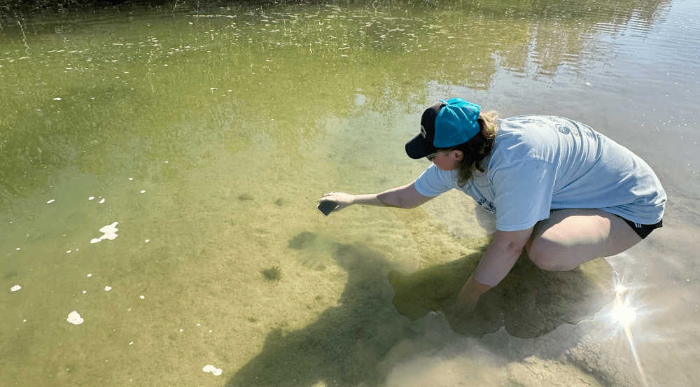Person crouches in shallow water, holding a phone, wearing a cap and t-shirt, sunlight reflects on the surface.