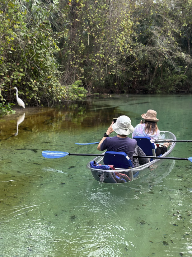 Two people in clear kayak on a river near a white bird and lush greenery.