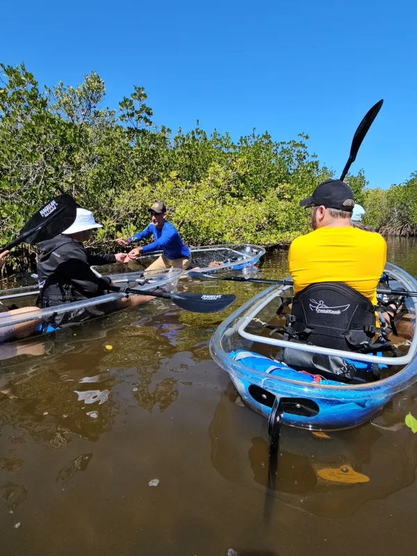 Three people in clear kayaks paddling in a mangrove under a blue sky.