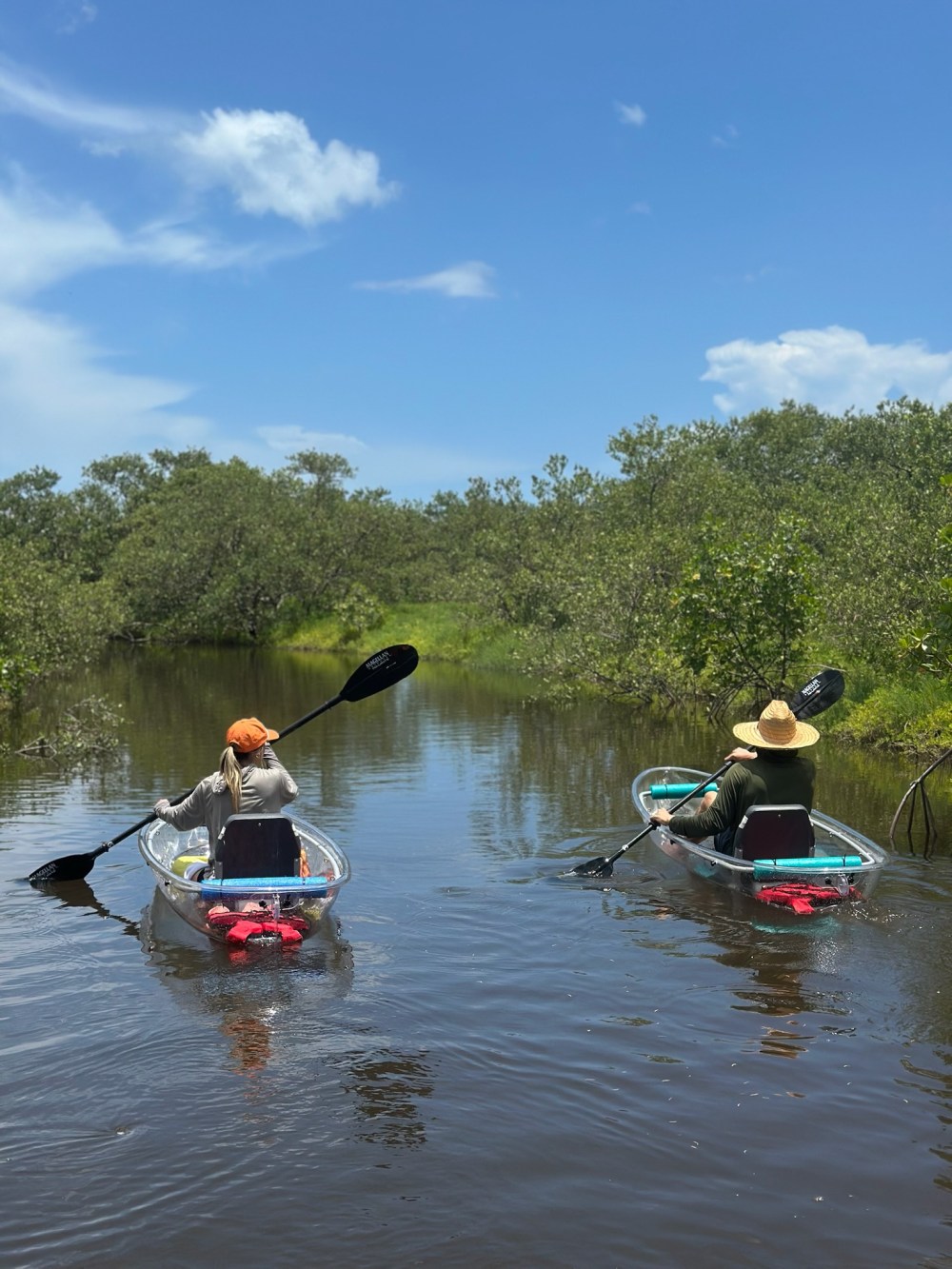 Two people kayaking on a calm river surrounded by green vegetation under a clear blue sky.