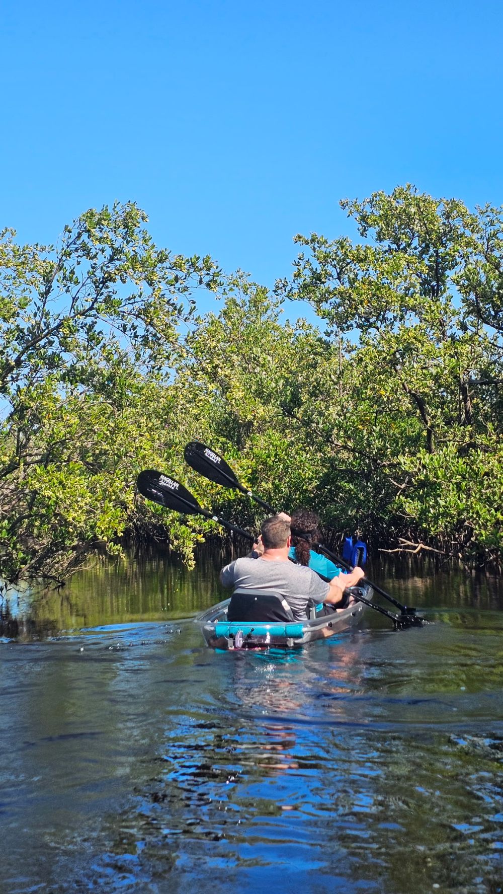 Two people kayaking on a calm river surrounded by green trees under a clear blue sky.
