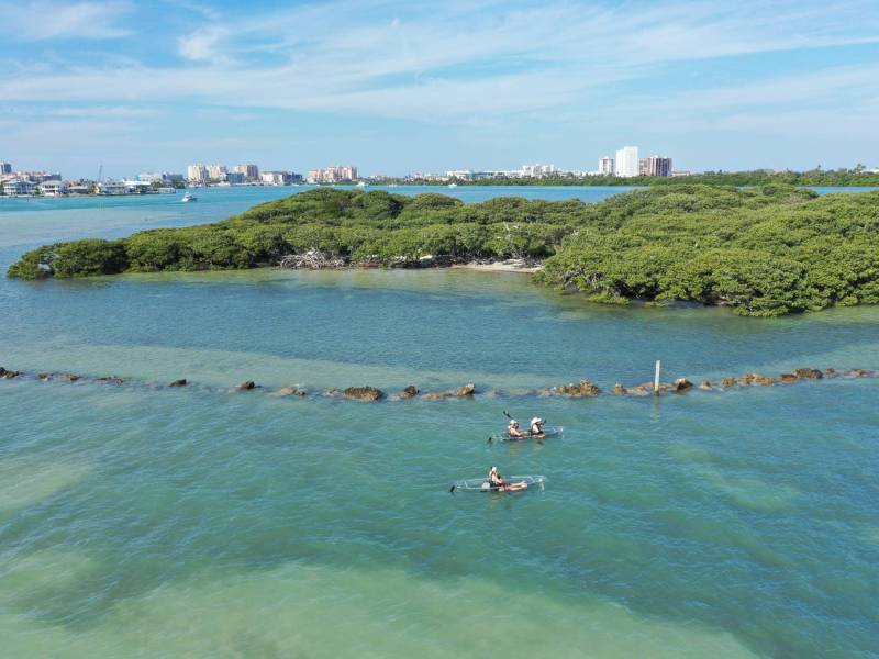 Three people kayaking in clear water near green islands and distant city buildings under a blue sky.