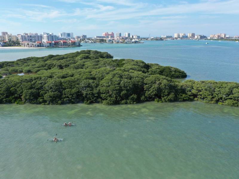 Kayakers in a bay with green island and city skyline in background.
