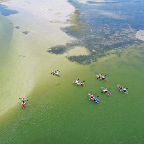 Seven people kayaking on clear green water, aerial view.