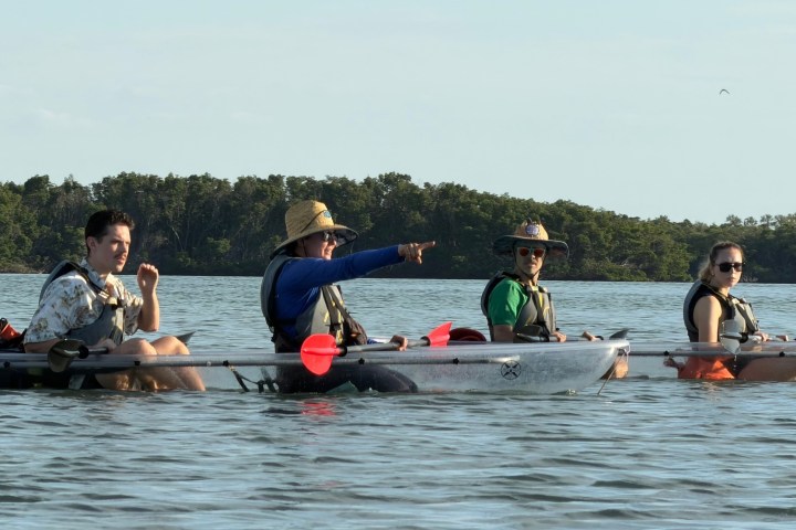 Four people in kayaks on a lake, one pointing, trees in the background.