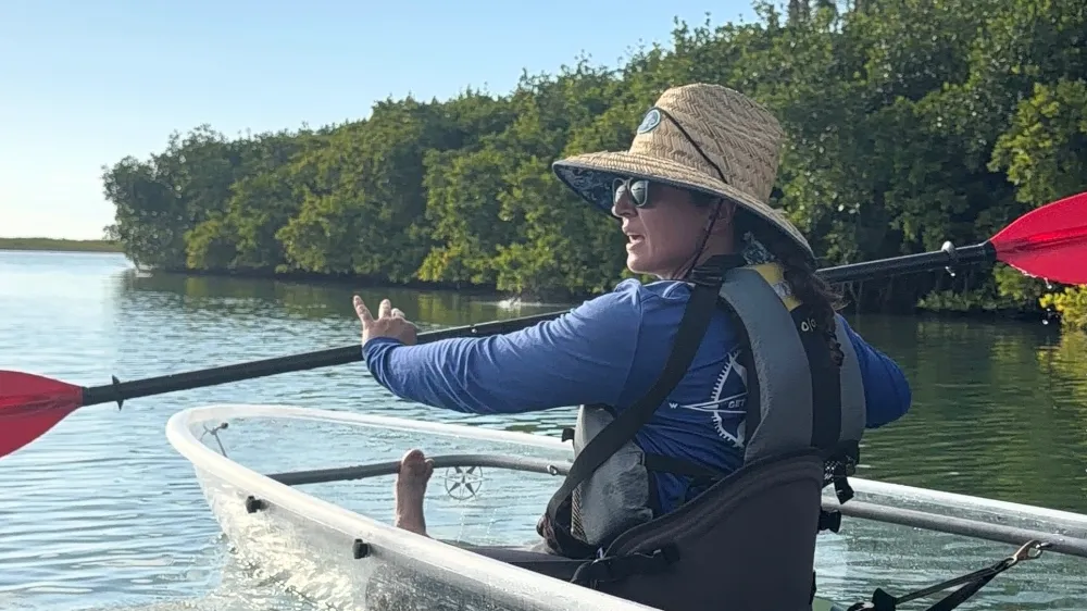 Person in a hat kayaking on calm water near mangroves.