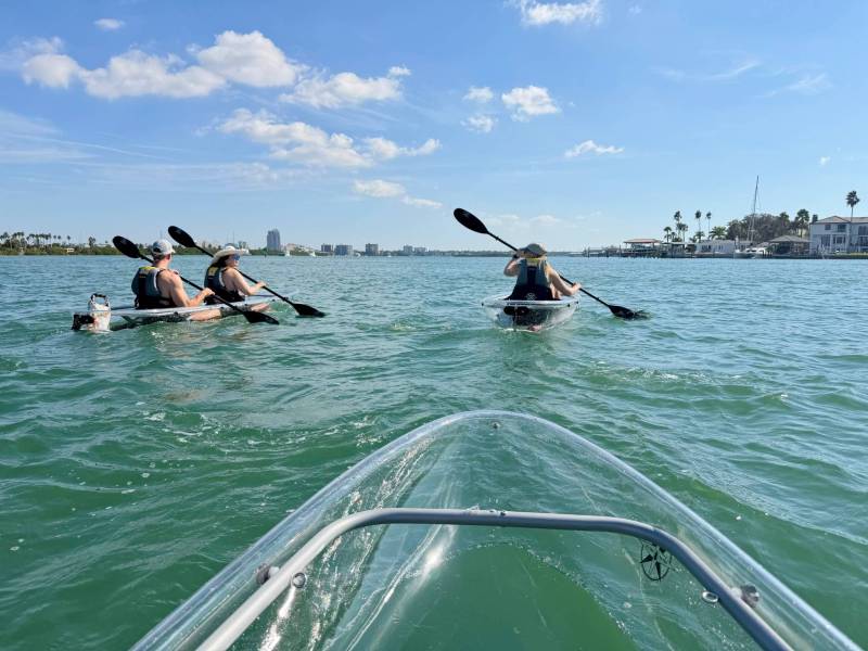 People kayaking in clear kayaks on a sunny day, with a cityscape and palm trees in the background.