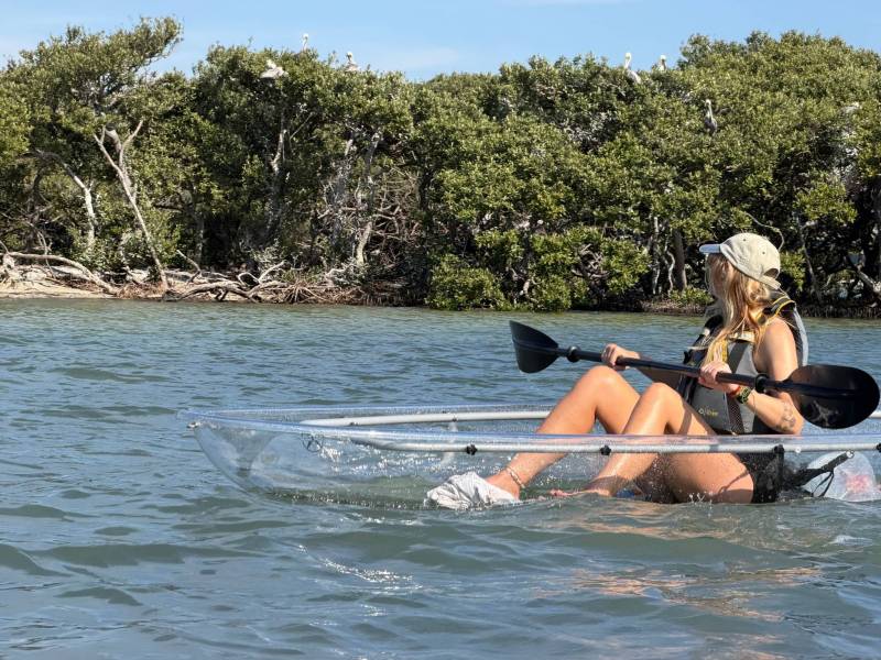 Woman kayaking in clear kayak near mangrove trees on a sunny day.