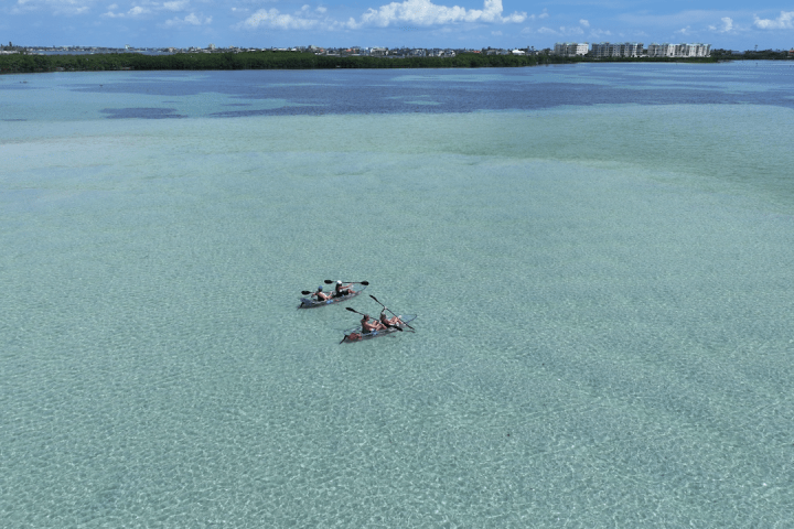 Two people kayaking on clear, shallow water with distant shoreline in background.