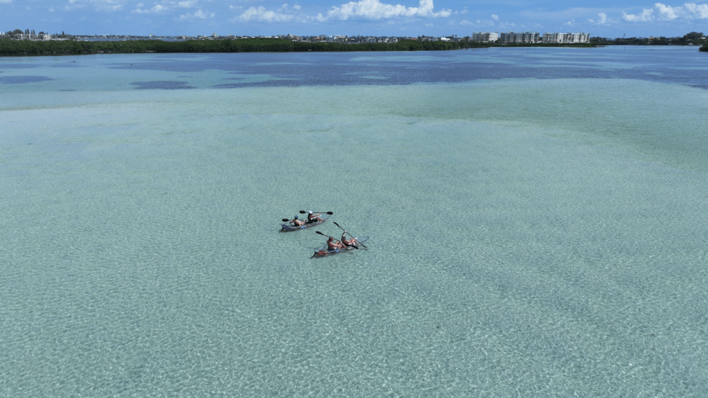 Two people kayaking on clear, shallow water with distant shoreline in background.