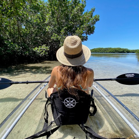 Person in a straw hat kayaking through clear, shallow water surrounded by mangroves.