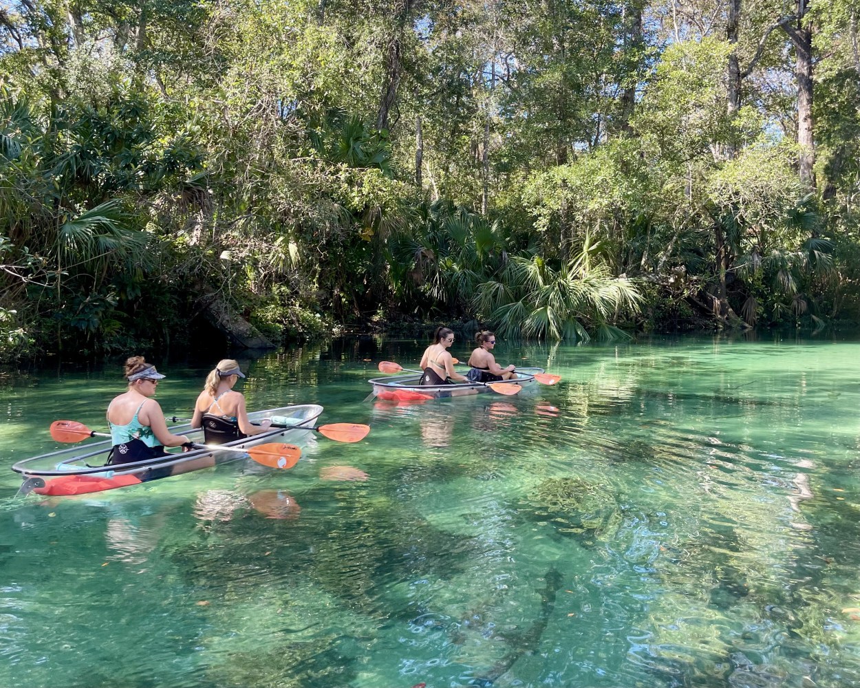 Four people kayaking on a clear, green river surrounded by dense trees.