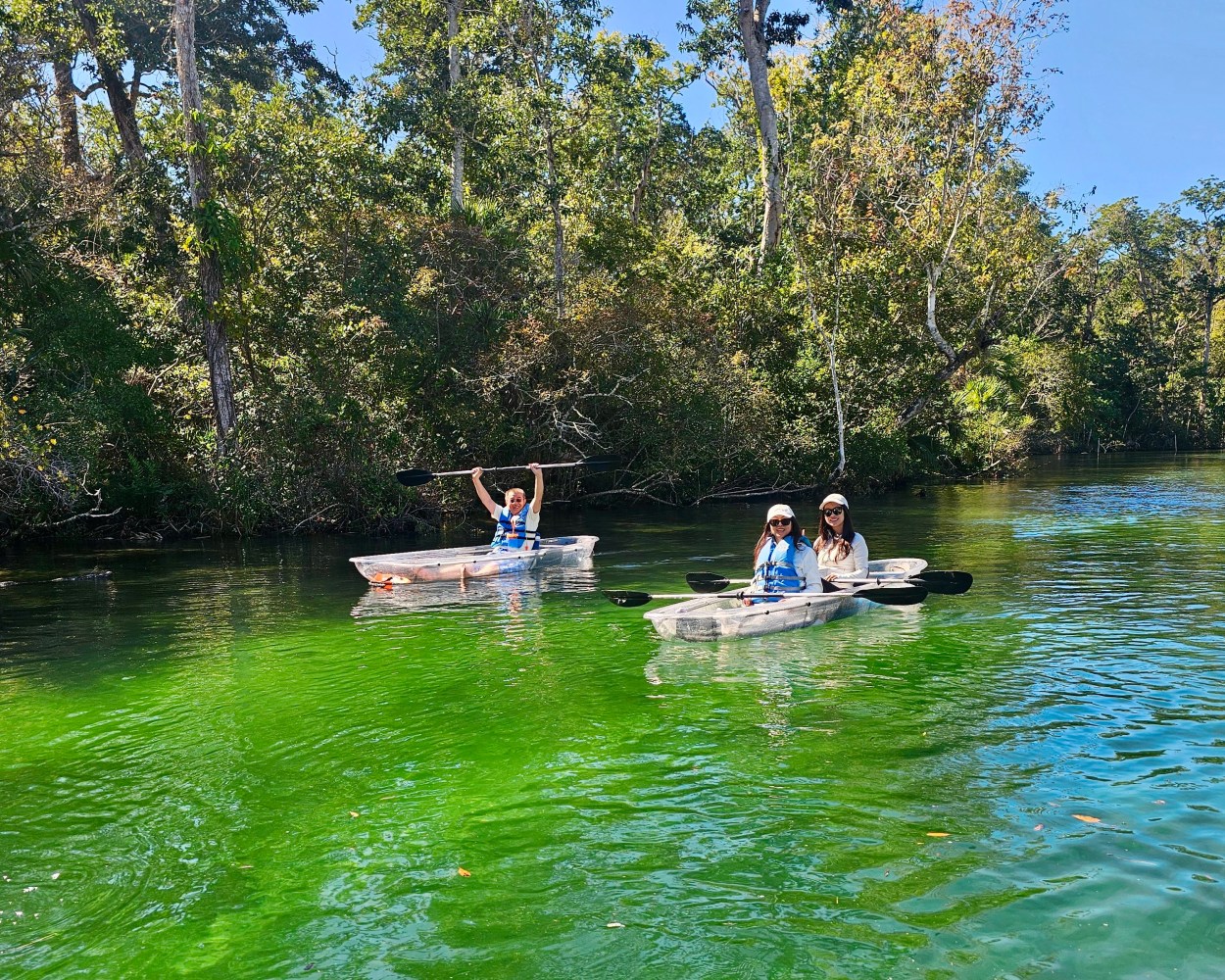 Three people in transparent kayaks on a green river with trees in the background.