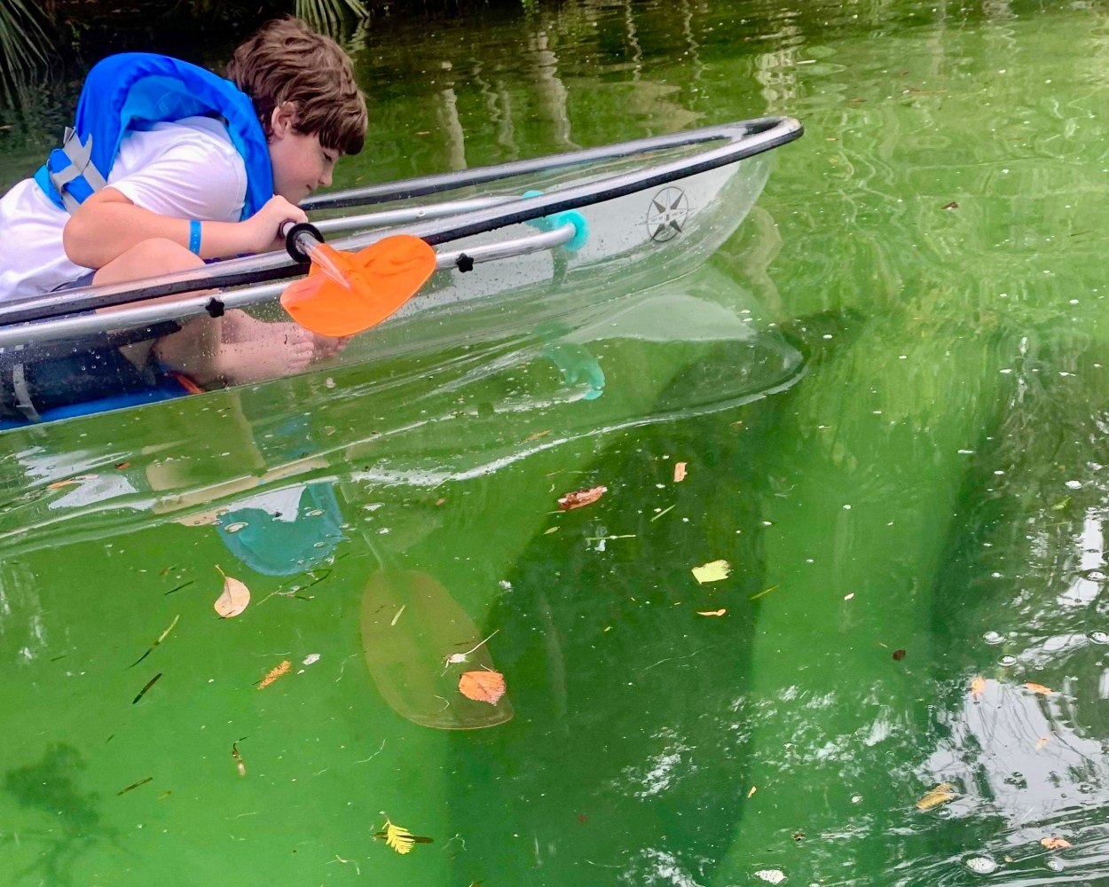 Child paddling in a clear kayak over green water, viewing a stingray underneath.