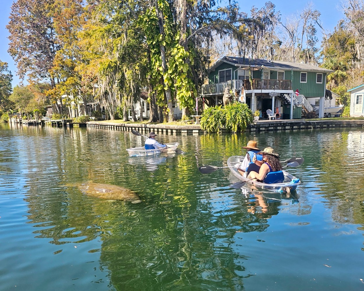 Two kayaks with people on clear water, see-through boats near houses, and trees with a manatee visible underwater.