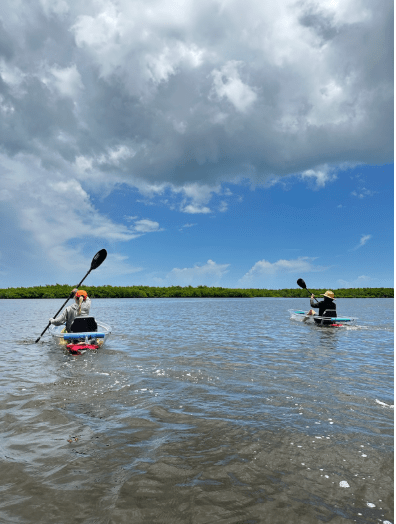 Two people kayaking under cloudy blue sky with green coastline.