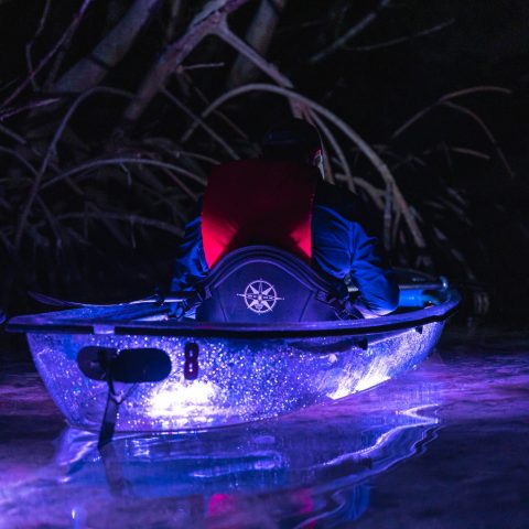 Person in a lit kayak paddling through water at night, with branches overhead.