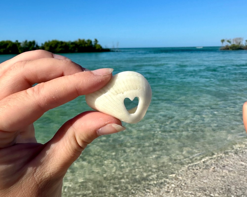 Hand holding a seashell with a heart-shaped hole by the beach.