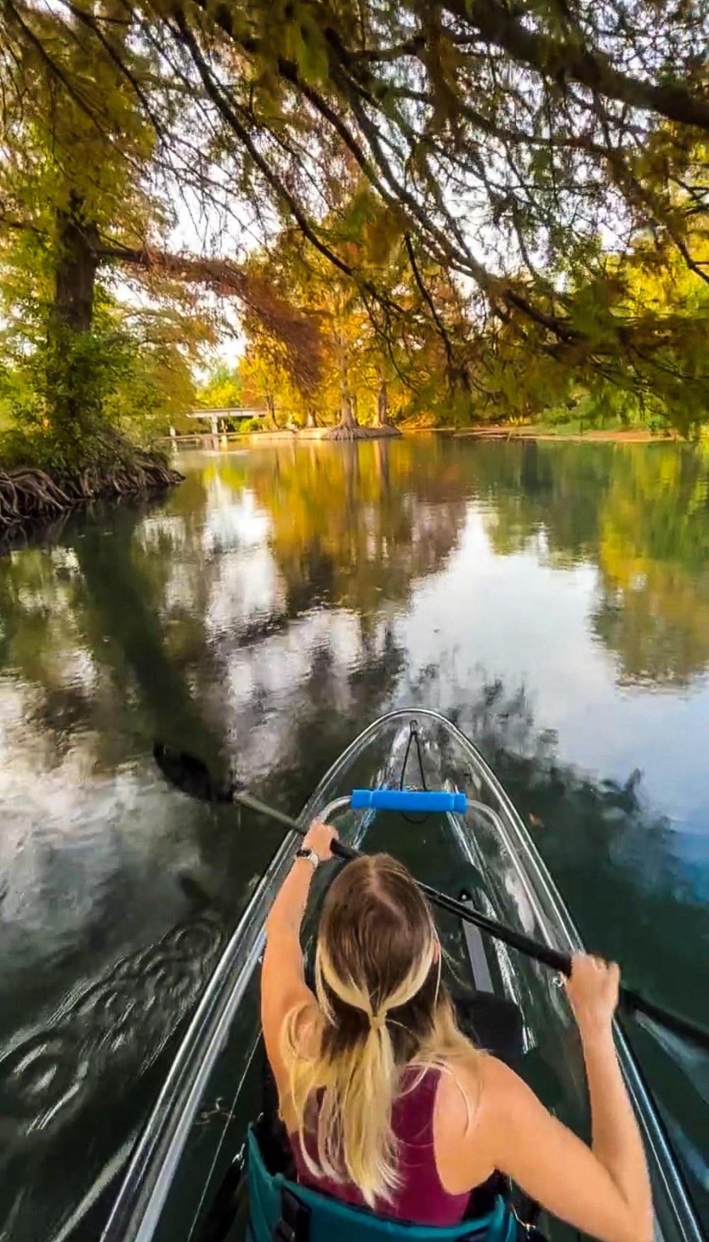 Woman kayaking on a calm river surrounded by trees with autumn colors.