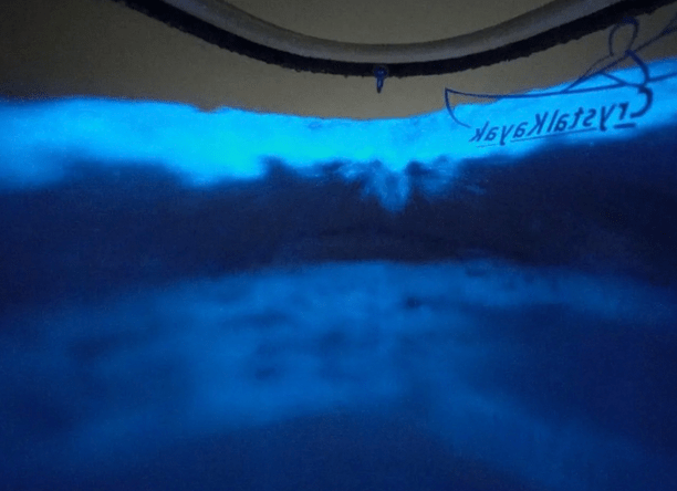 Blue bioluminescent waves at night with partial text visible.