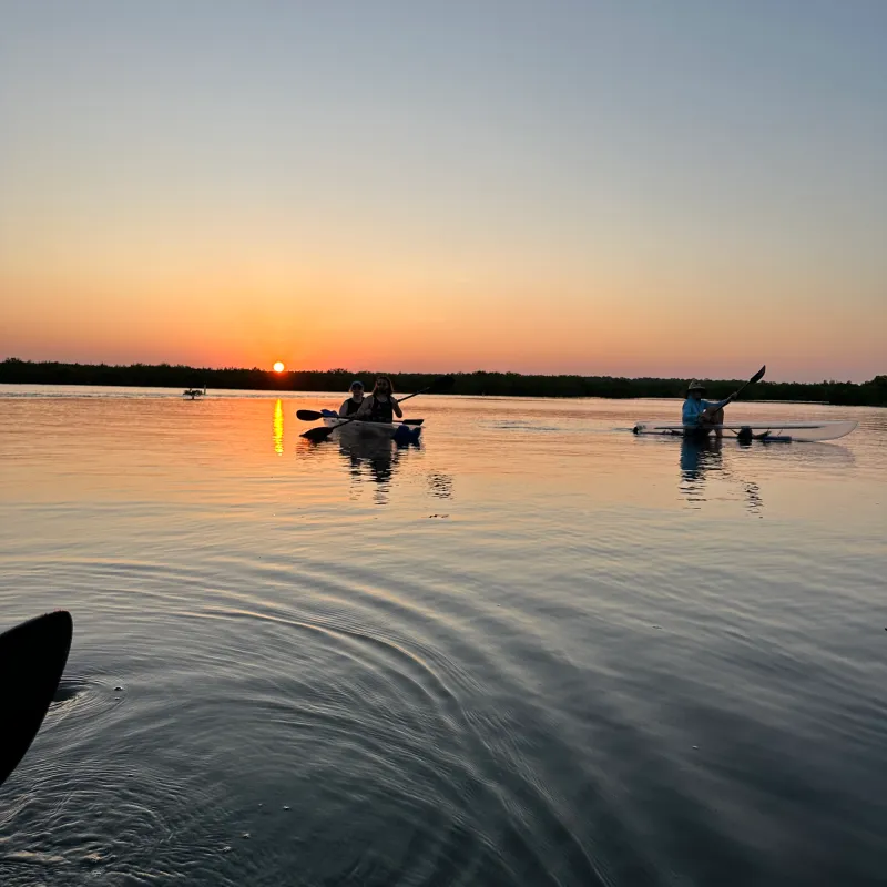 Kayakers on calm water at sunset with trees on horizon.